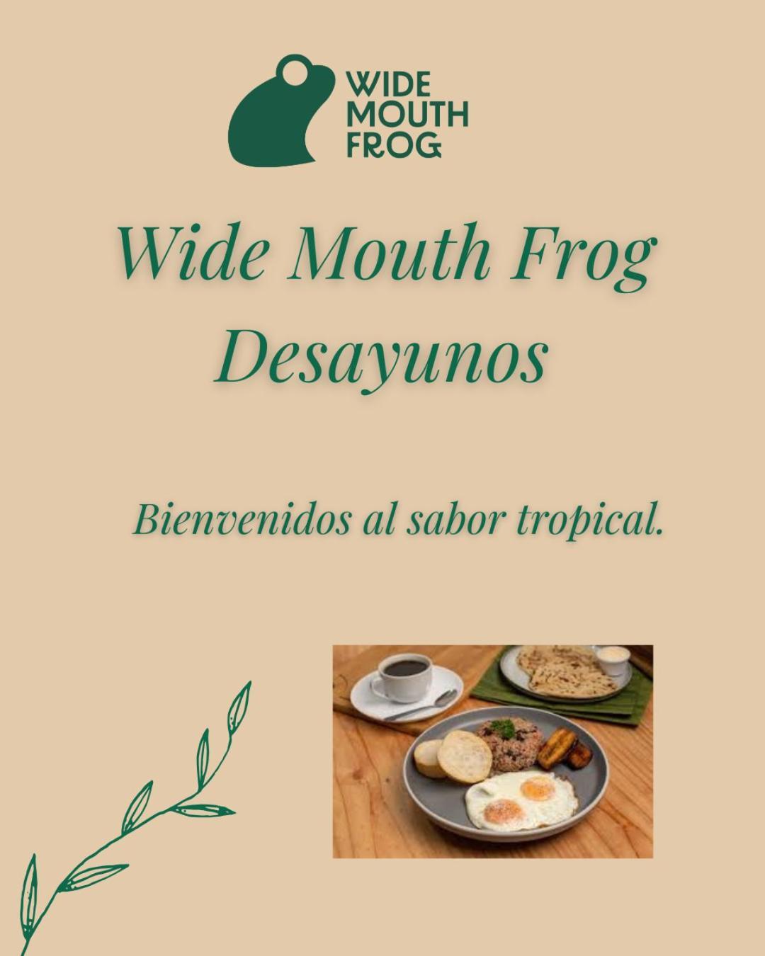 Хостел Wide Mouth Frog Quepos Мануэль-Антонио Экстерьер фото